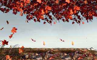 Halda Therapeutics: What's Up With The Stock?