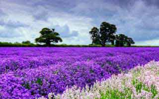 Switzerland: Where It Is and What Makes It Extraordinary